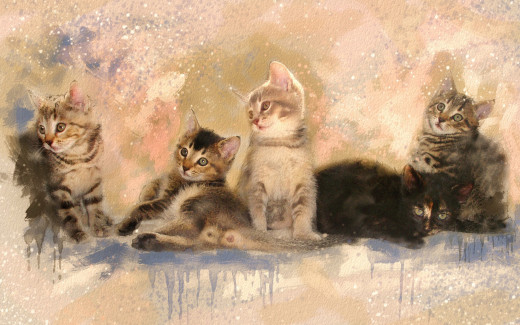 982914 (a): :2880x1800